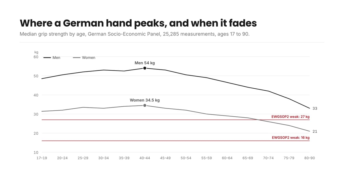 Line chart of median grip strength by age for German men and women, peaking around 54 and 34.5 kg at 40 to 44 and falling to 33 and 21 kg by 80 to 90, with EWGSOP2 weakness lines at 27 and 16 kg
