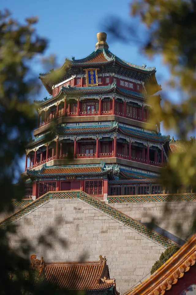 Longevity Longevity China Community