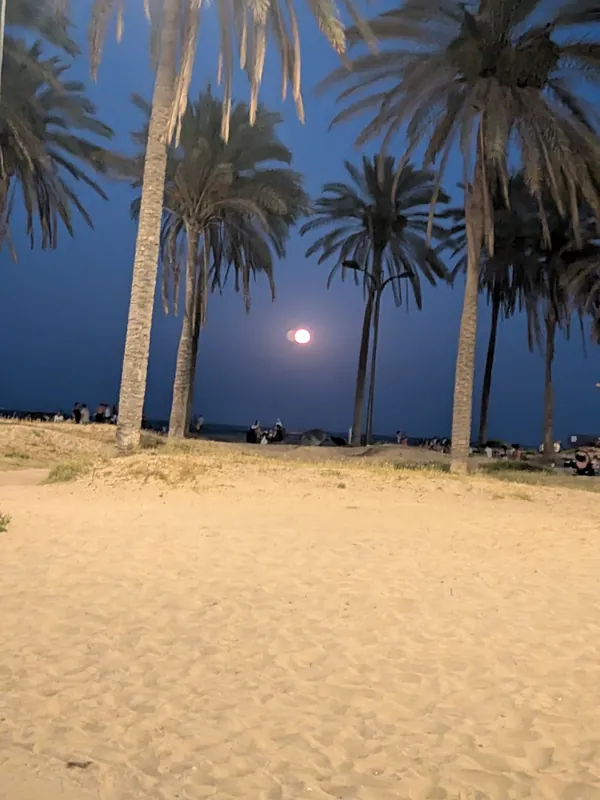 Meet, Move & Connect — 9