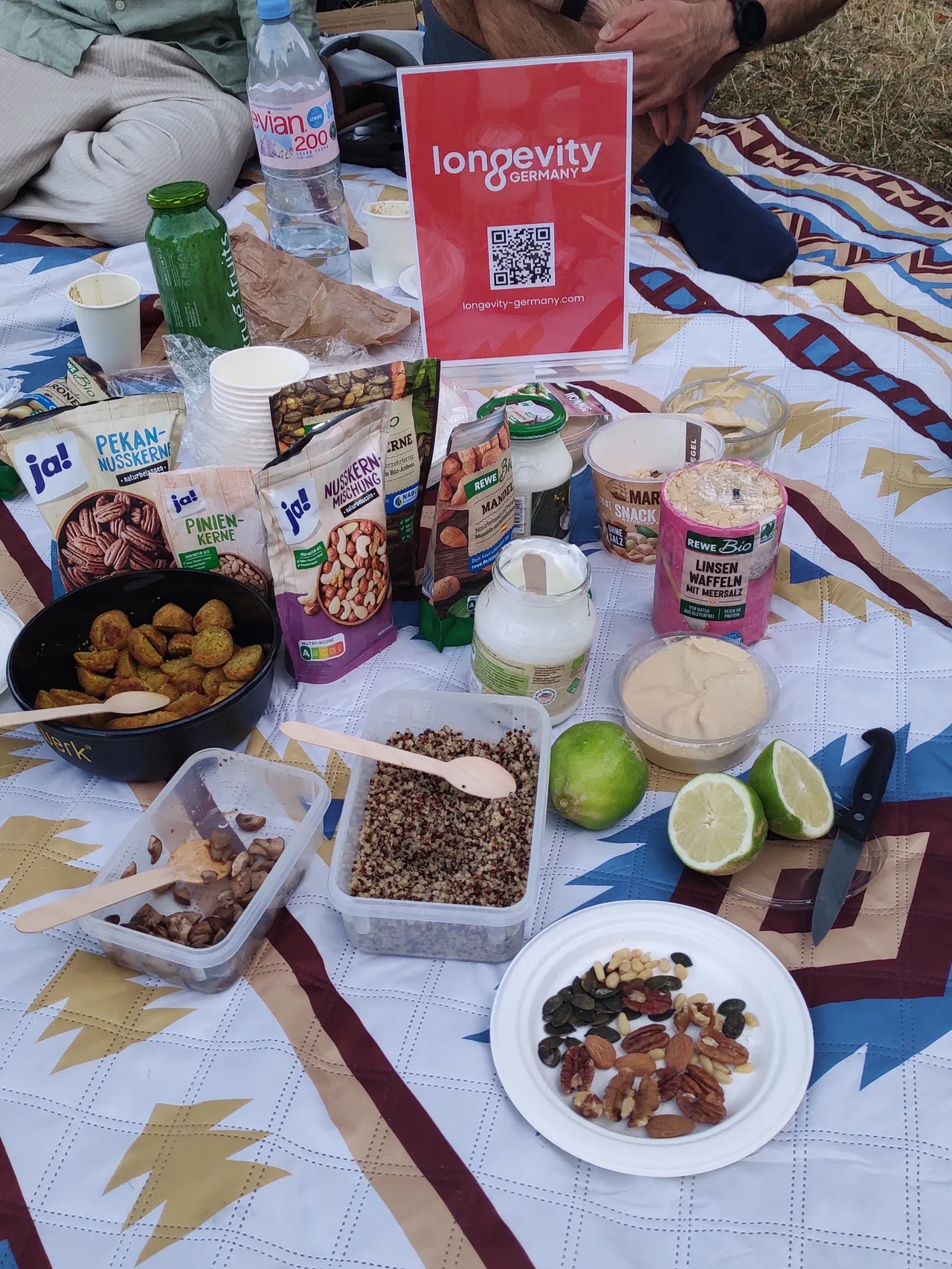 Longevity Picnic and Chats — 1