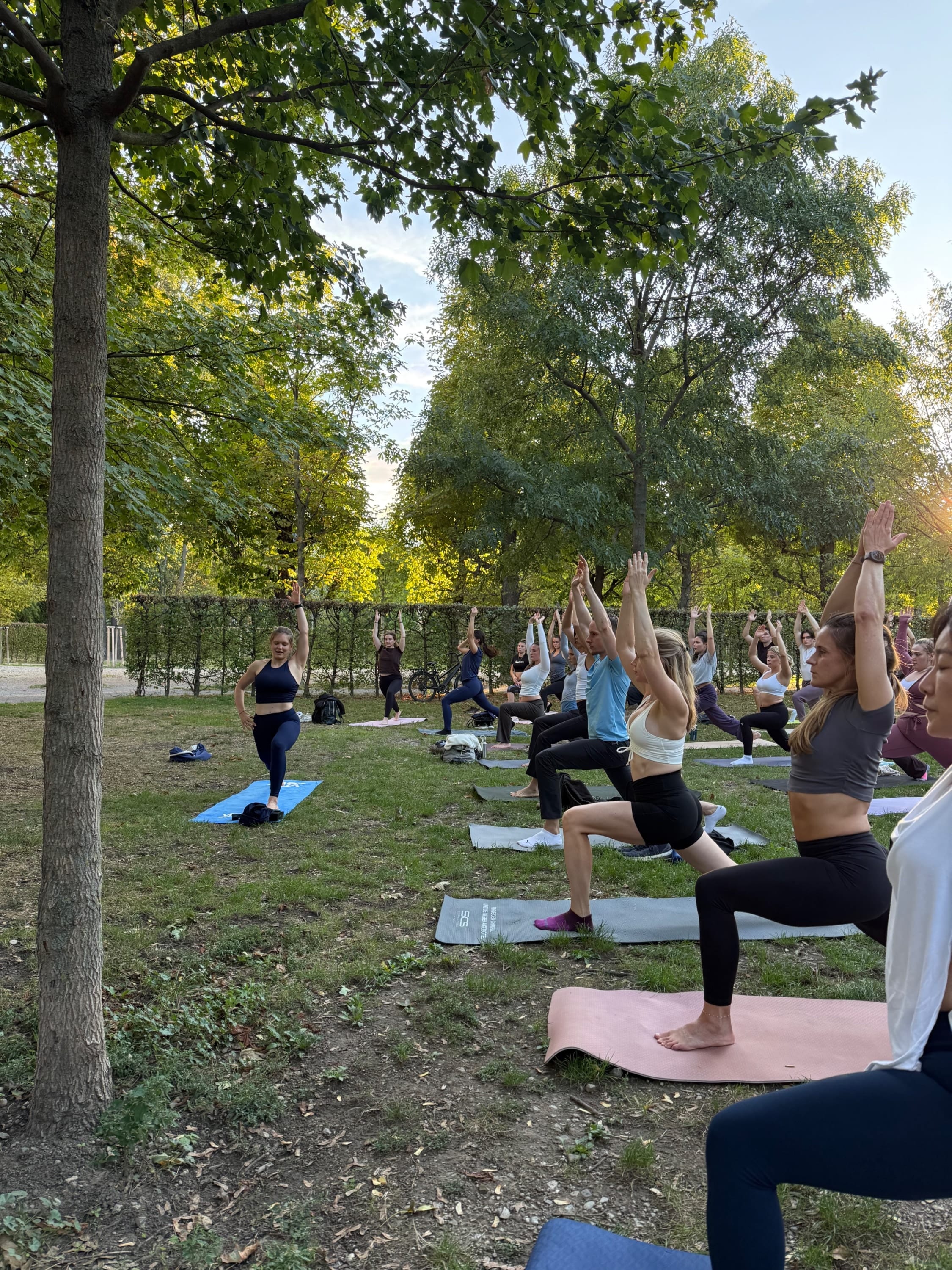YOGA & VO2 MAX Session with Longevity Vienna — photo 7
