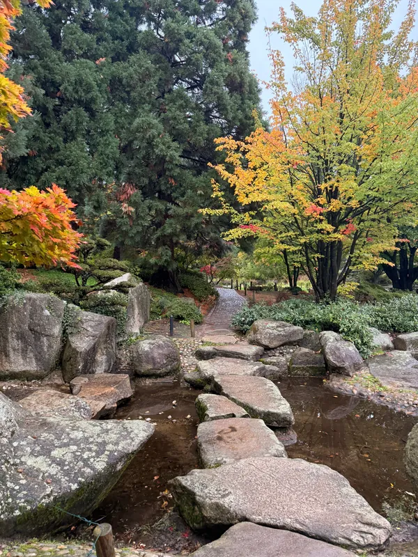 MATCHA & WALK | Longevity Hamburg goes Planten un Blomen — 4