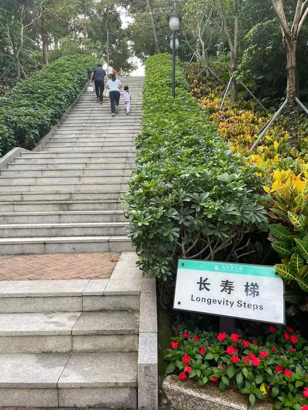 Hike to Wutong Mountain — 3