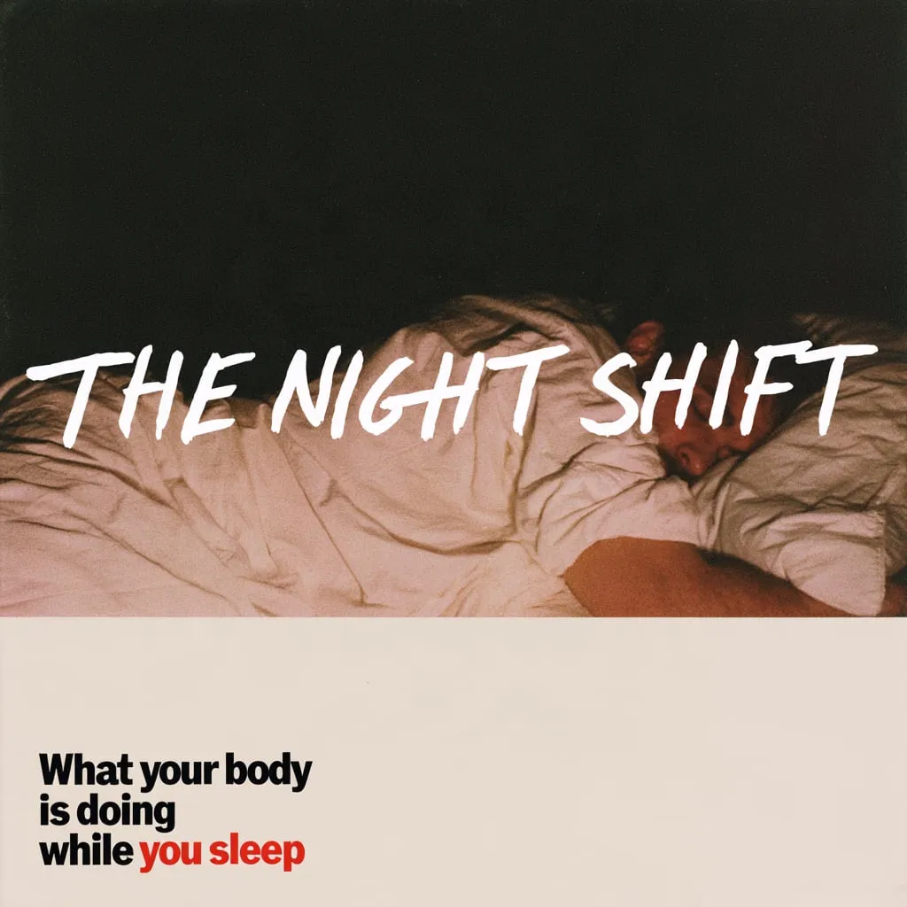 The Night Shift: Was dein Körper wirklich tut, während du schläfst