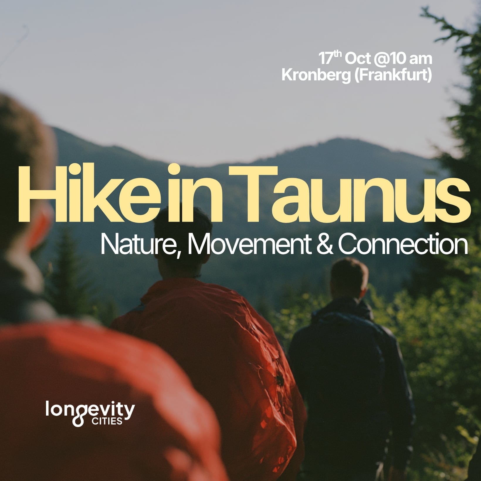 Hike: Nature, Movement & Connection in the Taunus